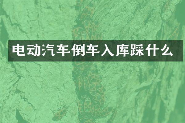 电动汽车倒车入库踩什么