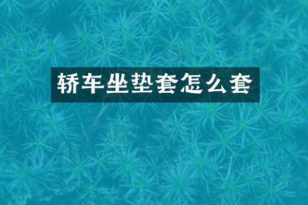 轿车坐垫套怎么套