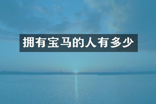 拥有宝马的人有多少