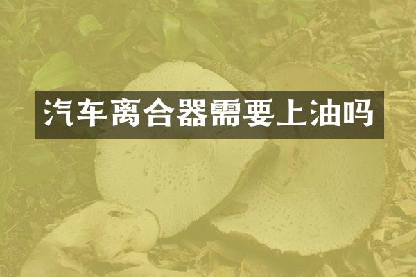 汽车离合器需要上油吗
