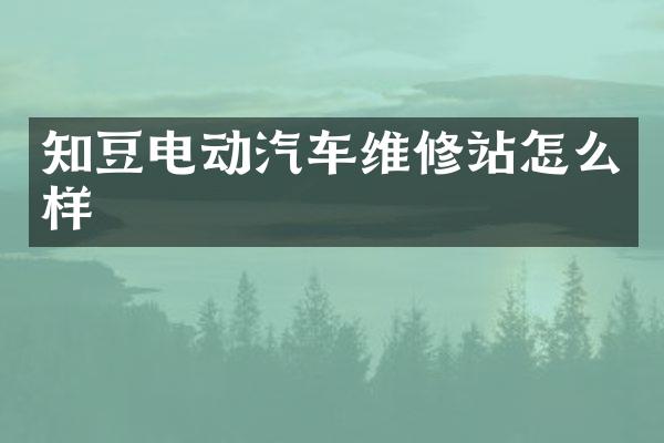 知豆电动汽车维修站怎么样