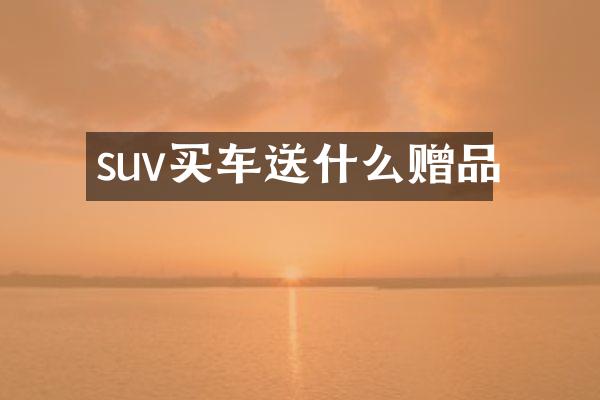 suv买车送什么赠品
