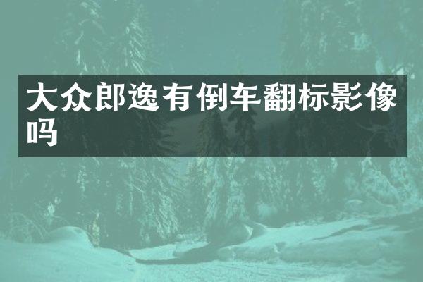 大众郎逸有倒车翻标影像吗