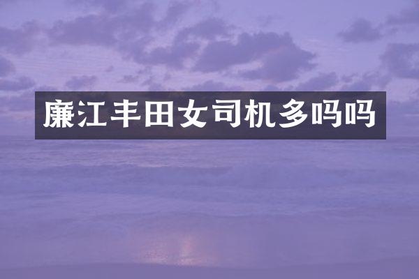 廉江丰田女司机多吗吗