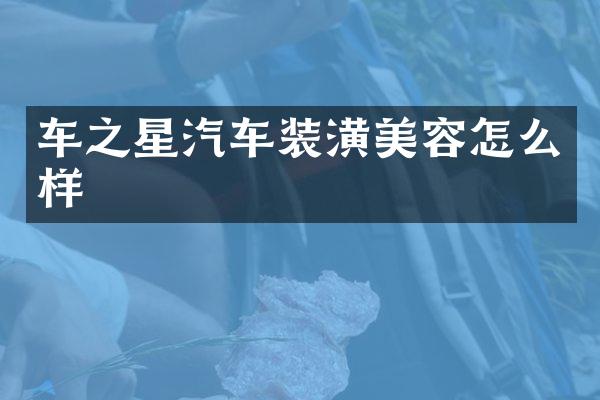 车之星汽车装潢美容怎么样
