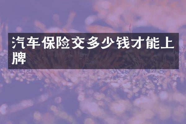 汽车保险交多少钱才能上牌