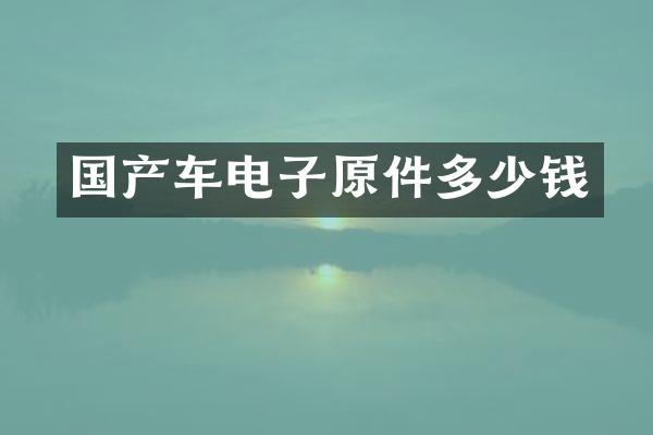 国产车电子原件多少钱