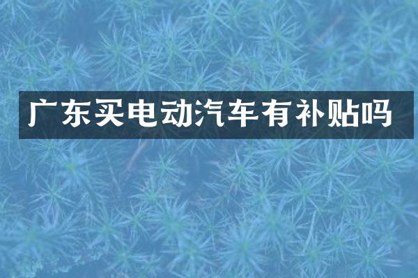 广东买电动汽车有补贴吗