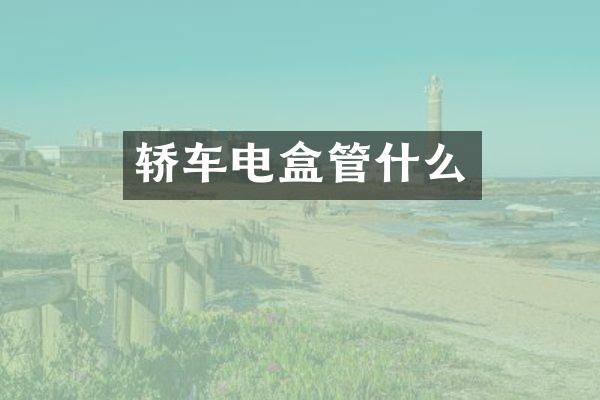 轿车电盒管什么