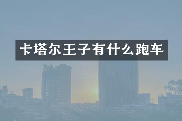 卡塔尔王子有什么跑车