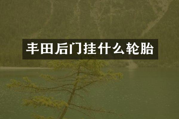 丰田后门挂什么轮胎