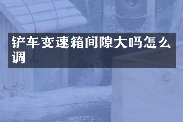 铲车变速箱间隙大吗怎么调