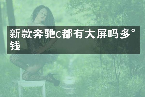 新款奔驰c都有大屏吗多少钱