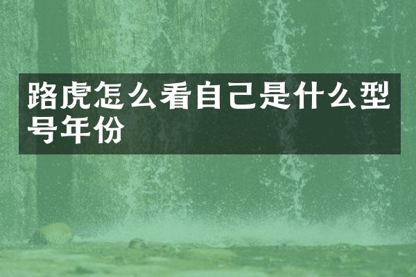 路虎怎么看自己是什么型号年份