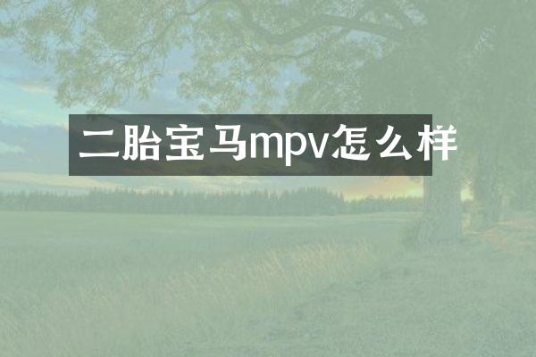 二胎宝马mpv怎么样