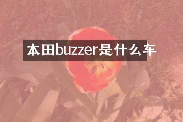 本田buzzer是什么车