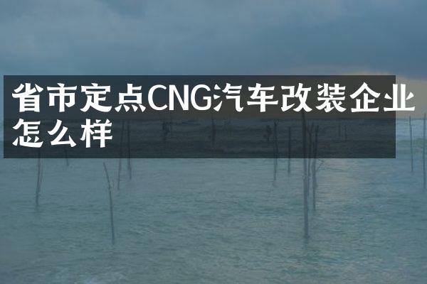 省市定点CNG汽车改装企业怎么样