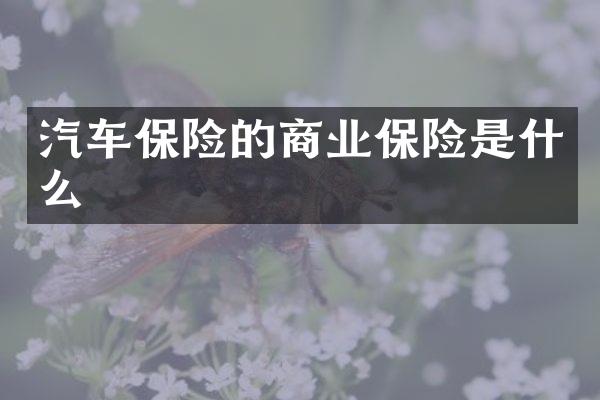 汽车保险的商业保险是什么