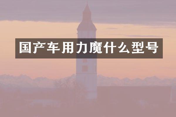 国产车用力魔什么型号