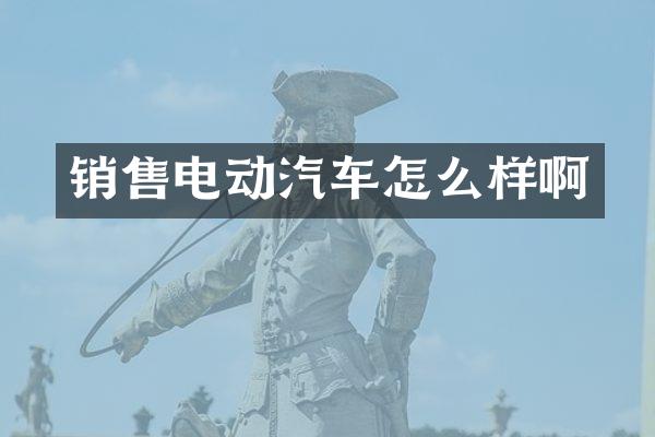 销售电动汽车怎么样啊