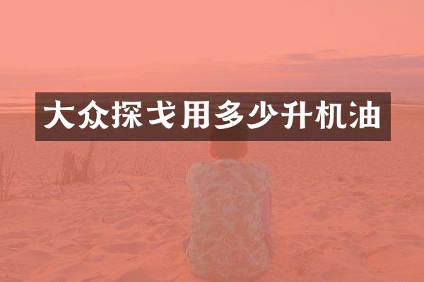 大众探戈用多少升机油