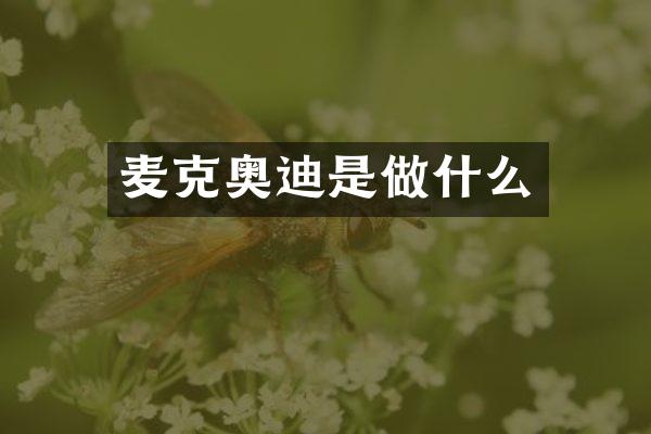 麦克奥迪是做什么