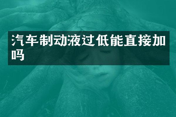 汽车制动液过低能直接加吗