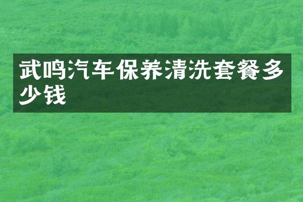 武鸣汽车保养清洗套餐多少钱