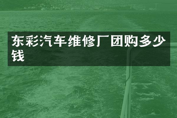 东彩汽车维修厂团购多少钱