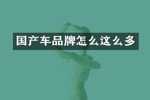 国产车品牌怎么这么多