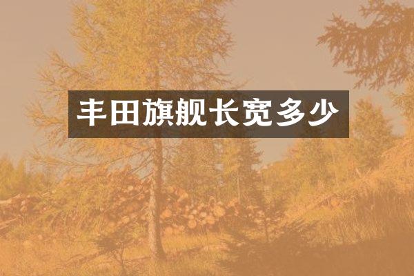 丰田旗舰长宽多少