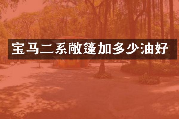 宝马二系敞篷加多少油好