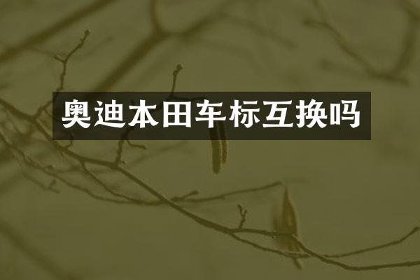 奥迪本田车标互换吗
