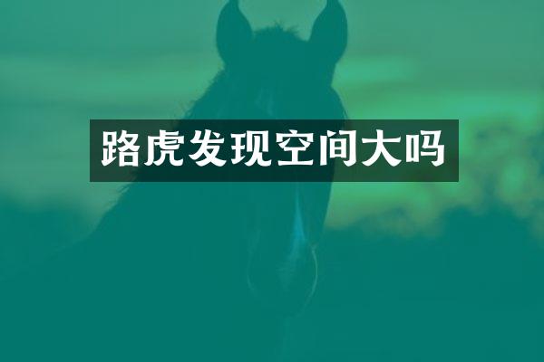 路虎发现空间大吗