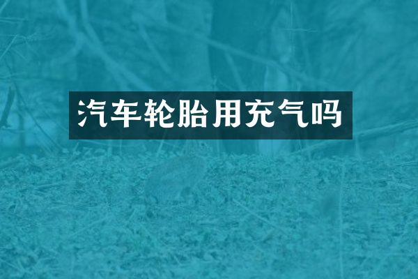 汽车轮胎用充气吗