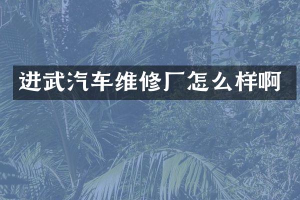 进武汽车维修厂怎么样啊