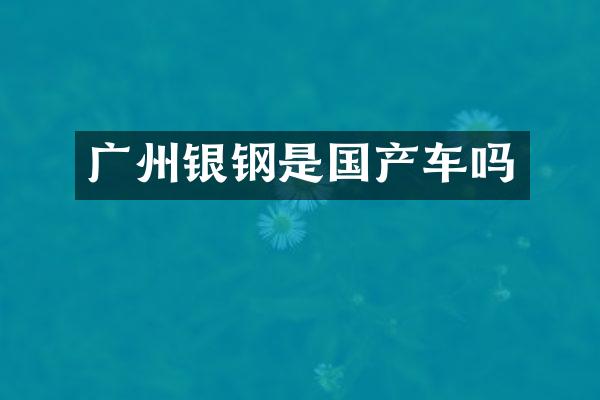 广州银钢是国产车吗