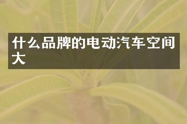 什么品牌的电动汽车空间大