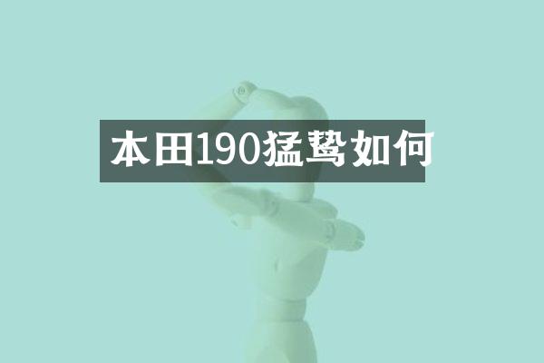本田190猛鸷如何