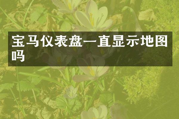 宝马仪表盘一直显示地图吗