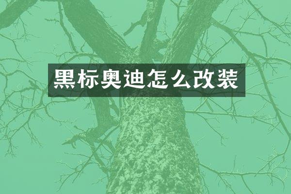 黑标奥迪怎么改装
