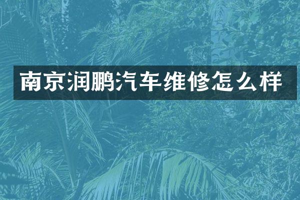 南京润鹏汽车维修怎么样