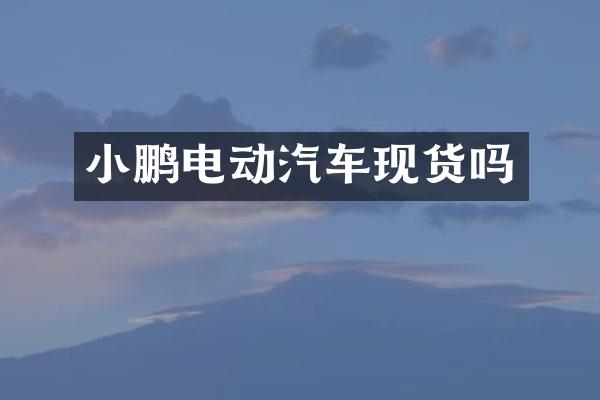 小鹏电动汽车现货吗