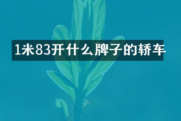 1米83开什么牌子的轿车