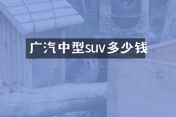 广汽中型suv多少钱