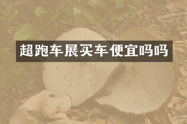 超跑车展买车便宜吗吗
