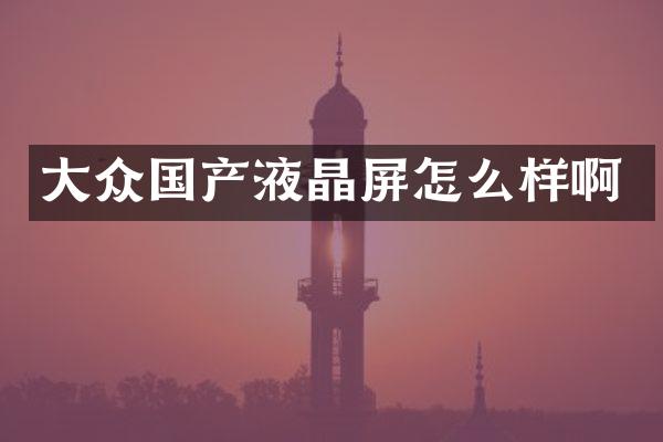 大众国产液晶屏怎么样啊
