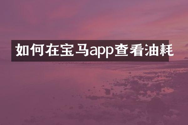 如何在宝马app查看油耗