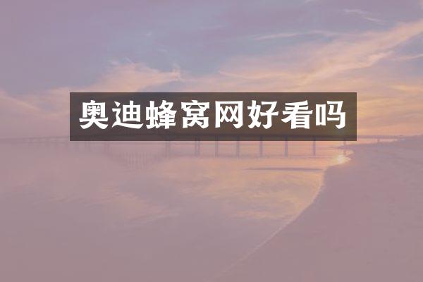 奥迪蜂窝网好看吗