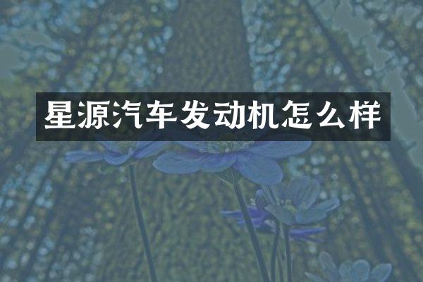 星源汽车发动机怎么样